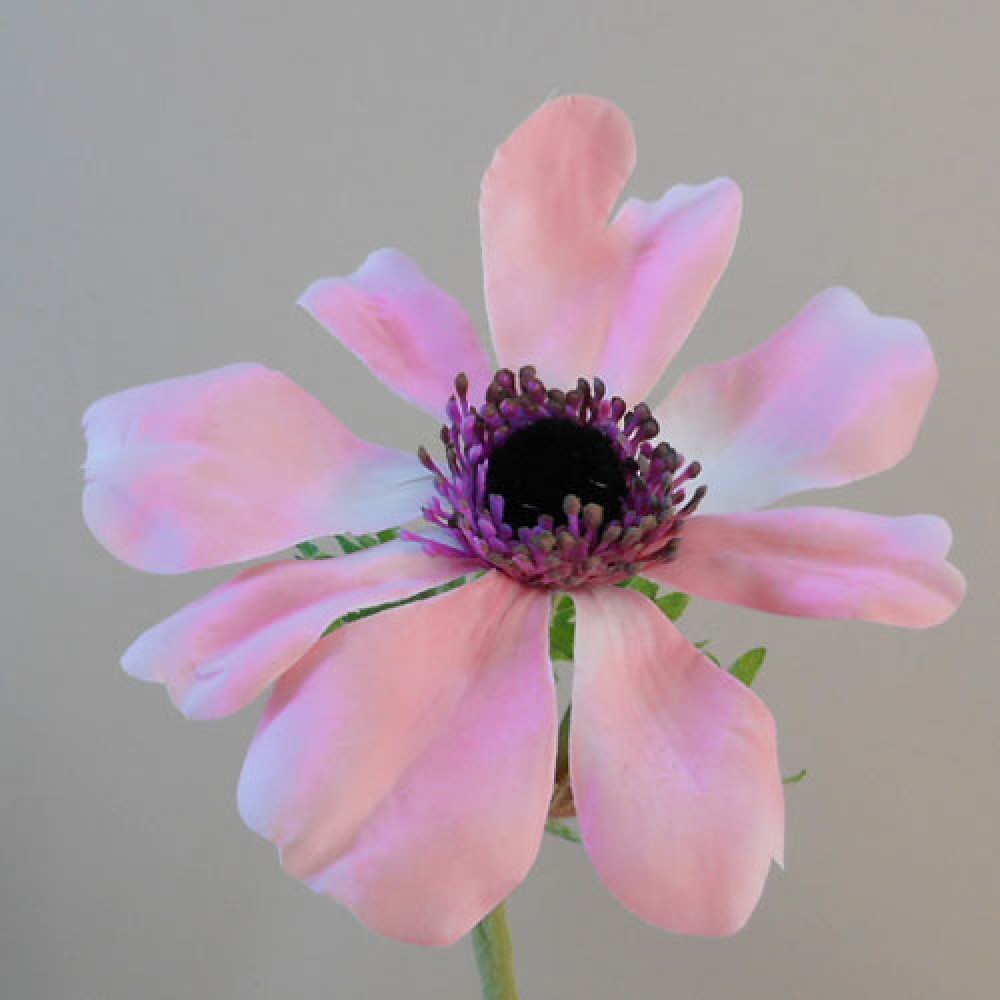 Large Artificial Anemones Pink 49cm Artificial Flowers